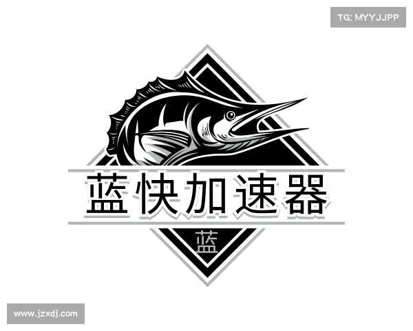 解读蓝快加速器